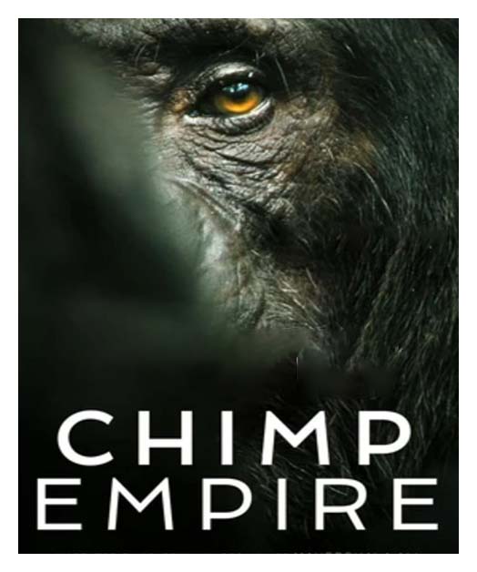 Chimp Empire