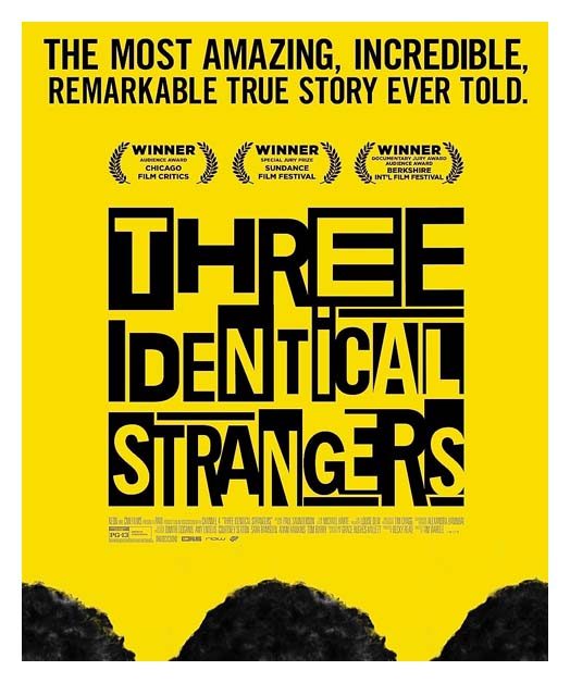 Three Identical Strangers 