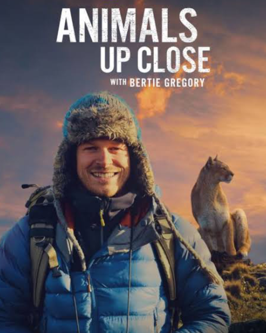 Animals Up Close with Bertie Gregory